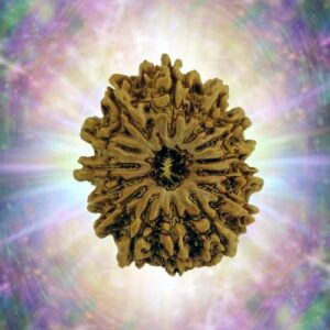 14 MUKHI 34.27 mm 6.490 gm