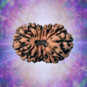 14 Mukhi Indonesian