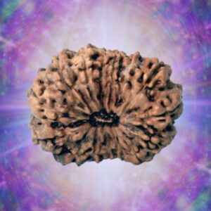 15 Mukhi Indonesian