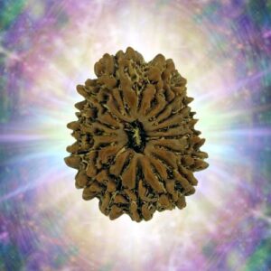 16 Mukhi 39.63 mm 9.885 gm