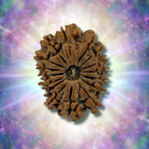 16 Mukhi 28.75 mm 2.682 gm