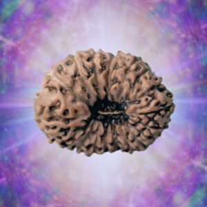 18 Mukhi Indonesain