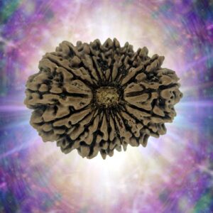 19 Mukhi 33.70 mm 6.919 gm