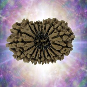 19 Mukhi 32.36 mm 5.120 gm