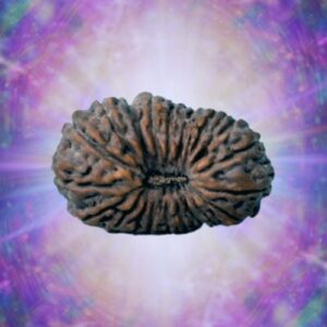 20 Mukhi Indonesian