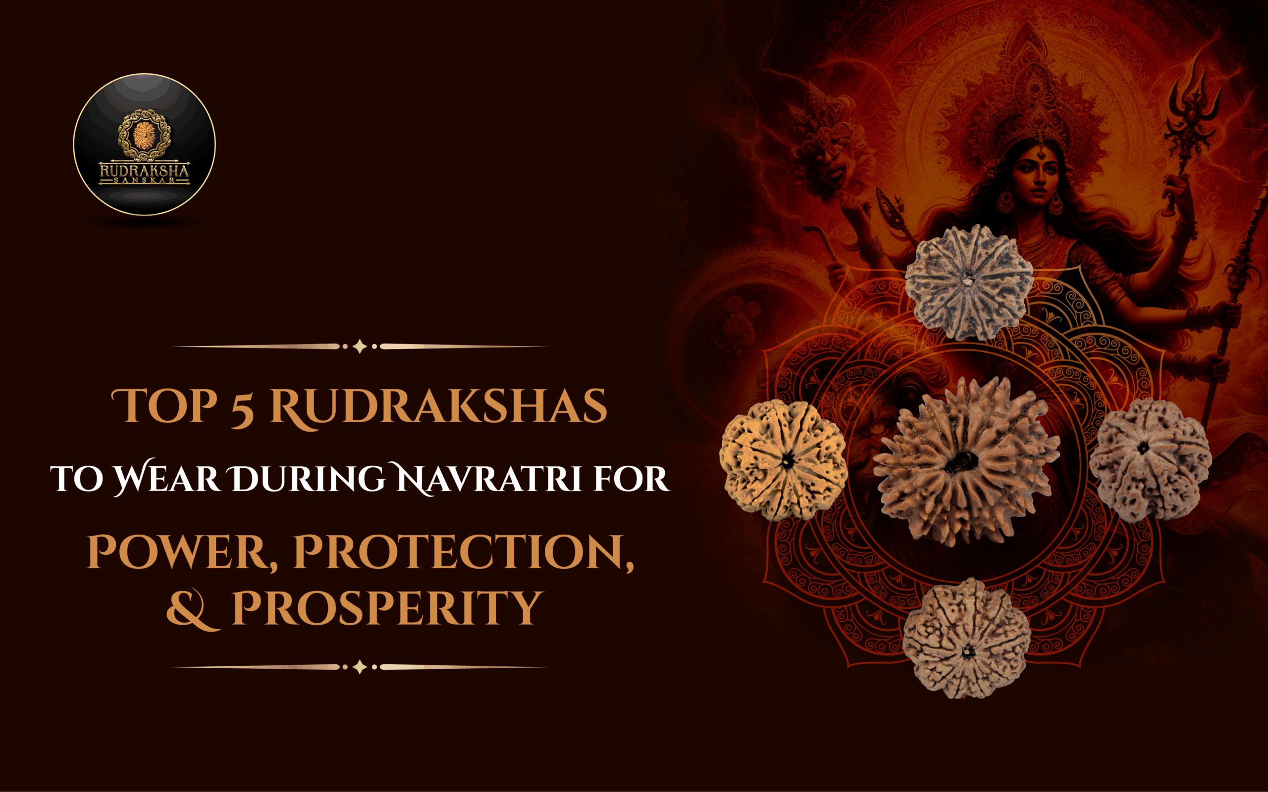 Top 5 Rudrakshas to Wear During Navratri for Power, Protection, and Prosperity - Rudraksha Sanskar