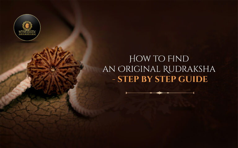 How to Identify an Original Rudraksha – A Step-by-Step Guide 