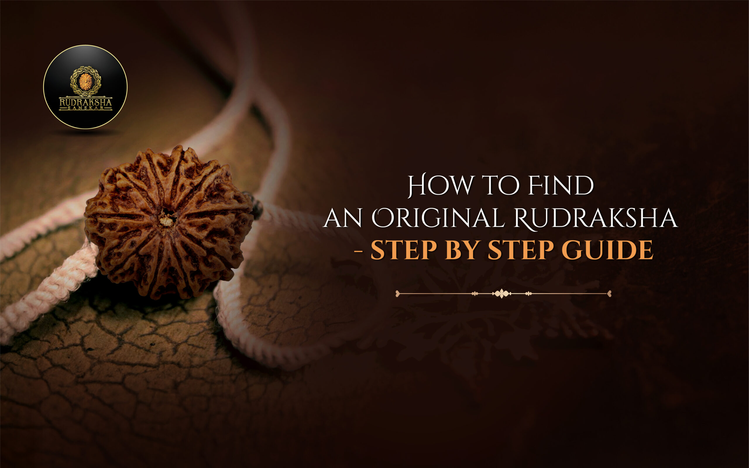 How to Identify an Original Rudraksha - A Step-by-Step Guide - Rudraksha Sanskar