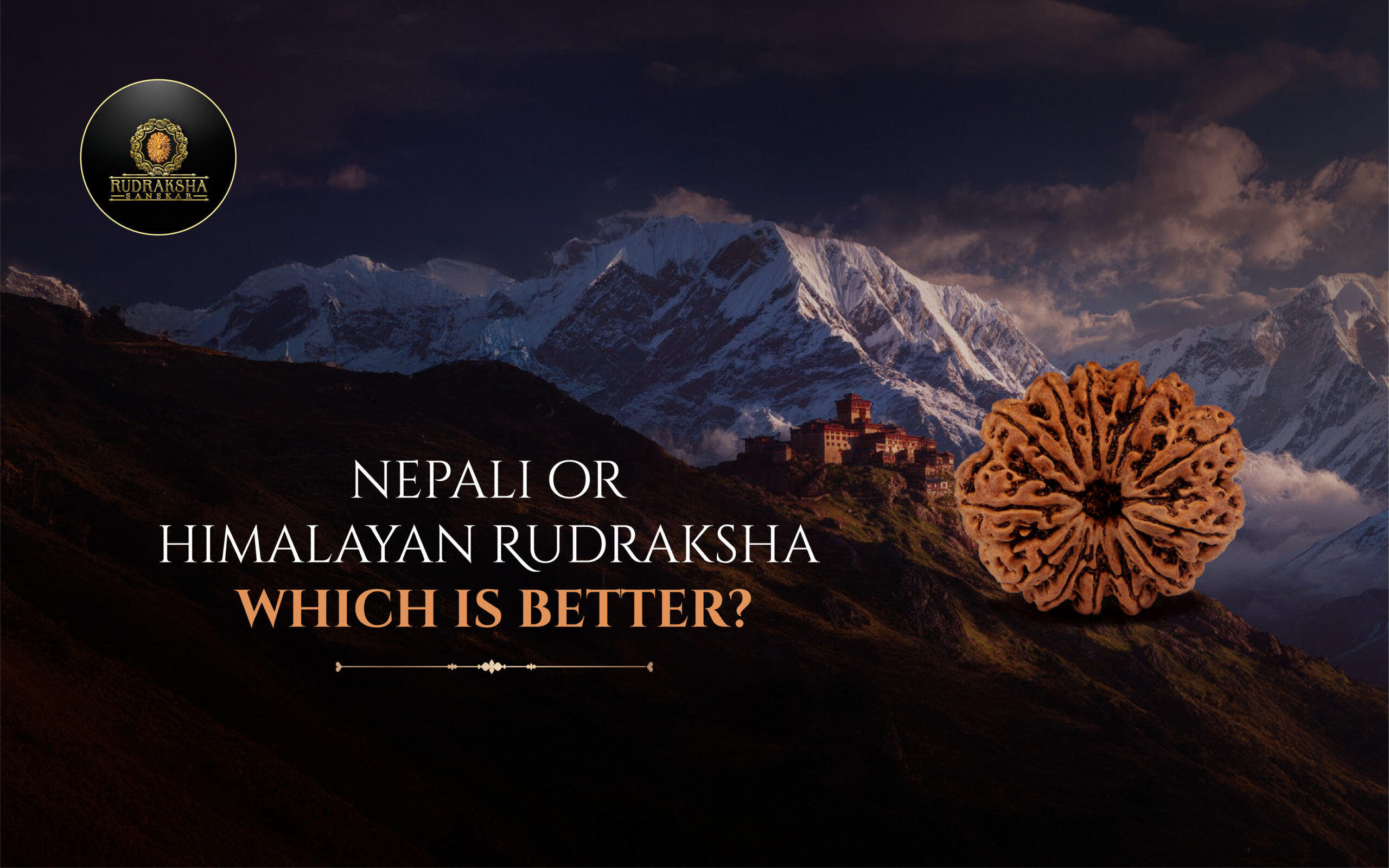 Nepali vs. Himalayan Rudraksha - Which is Better