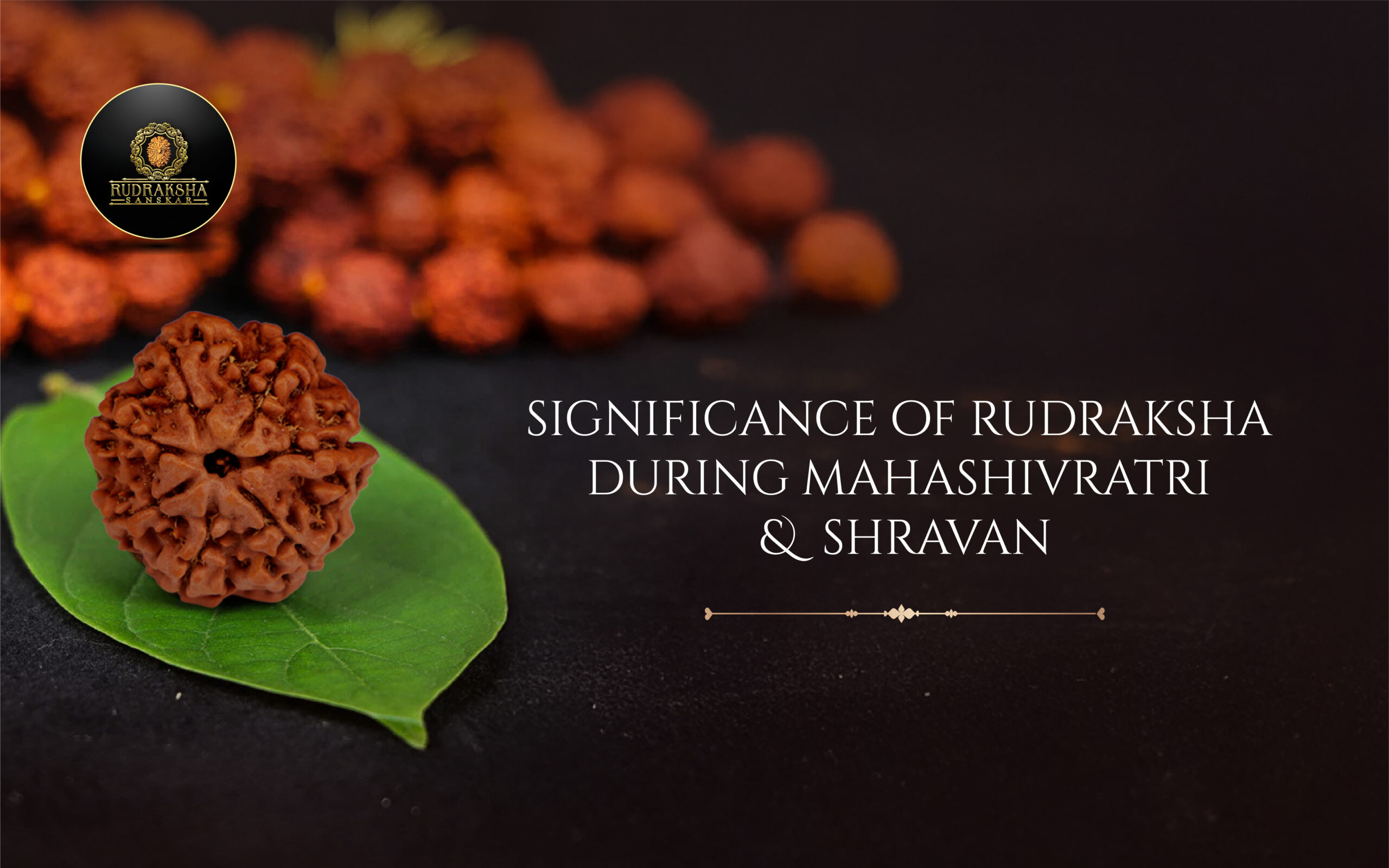 Significance of Rudraksha During Mahashivratri & Shravan - Rudraksha Sanskar