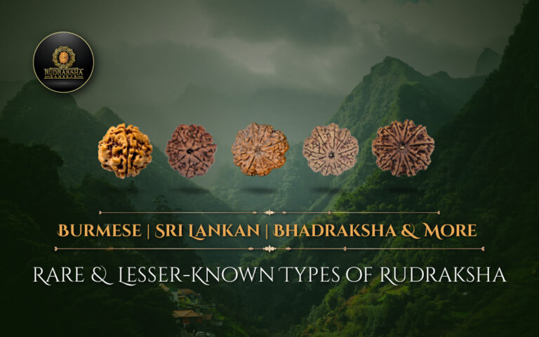 Rare and Lesser-Known Types of Rudraksha: Burmese, Sri Lankan, Bhadraksha and More