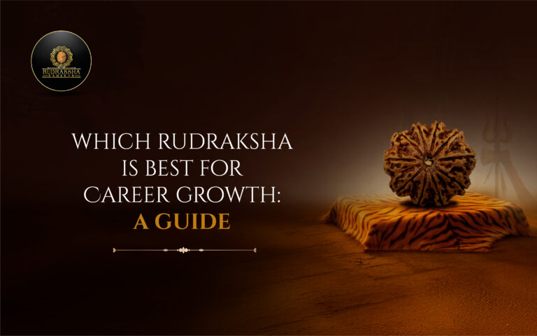 Which Rudraksha is Best for Career Growth: A Guide of 10 Mukhi Rudraksha 