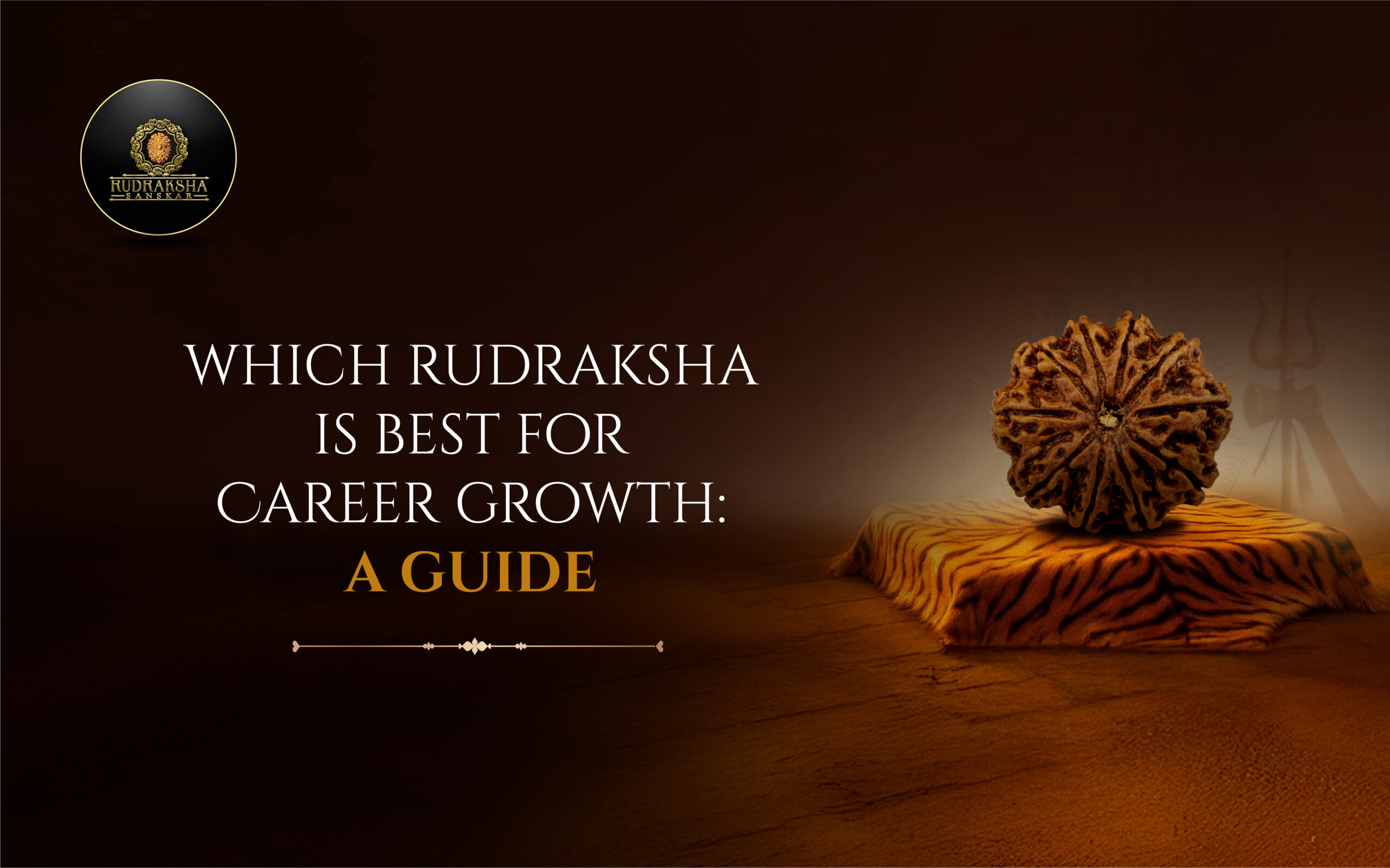 Which Rudraksha is Best for Career Growth A Guide