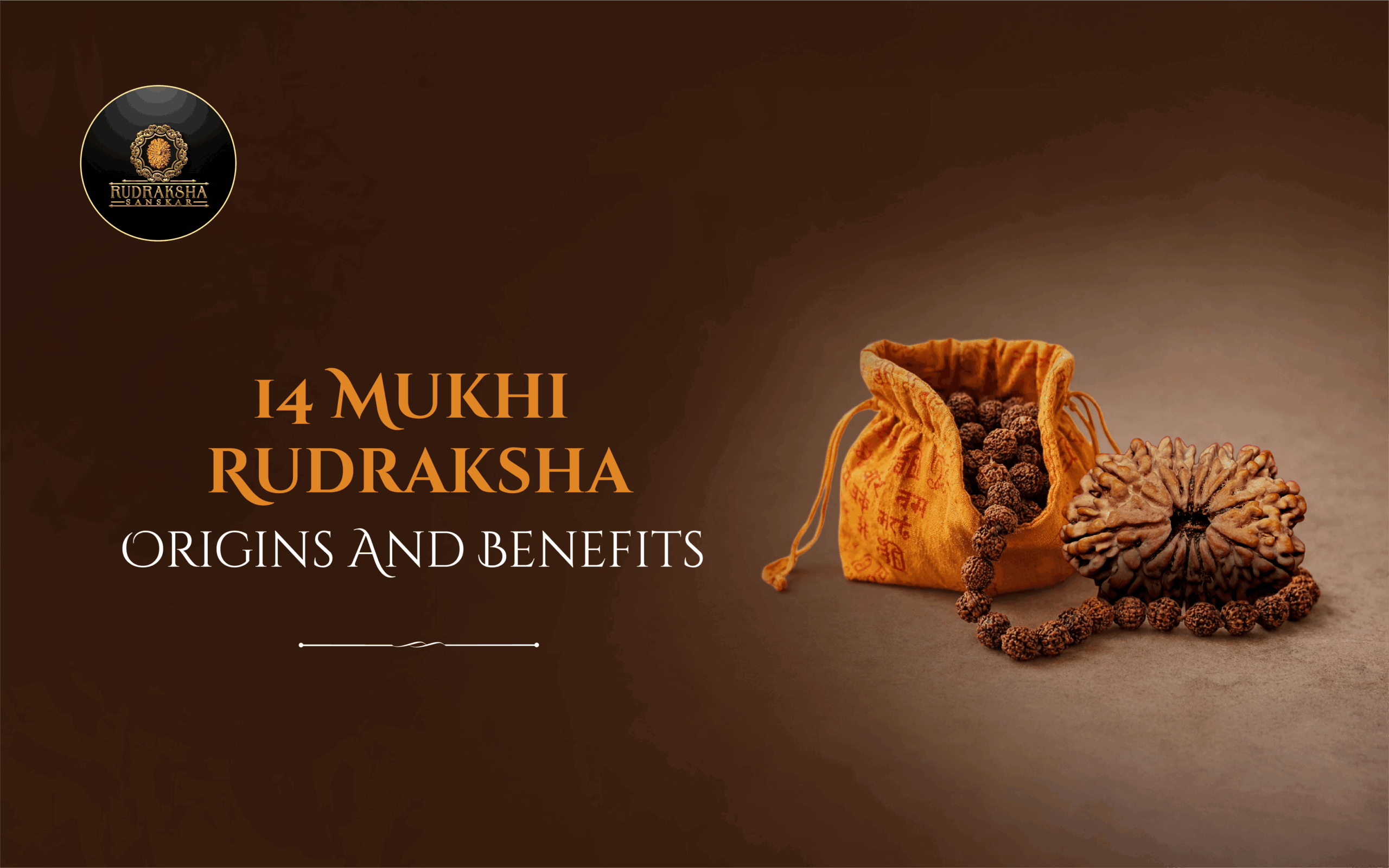 14 Mukhi Rudraksha Origins and Benefits - Rudraksha Sanskar