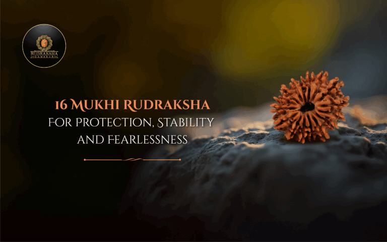 16 Mukhi Rudraksha: For Protection, Stability and Fearlessness 