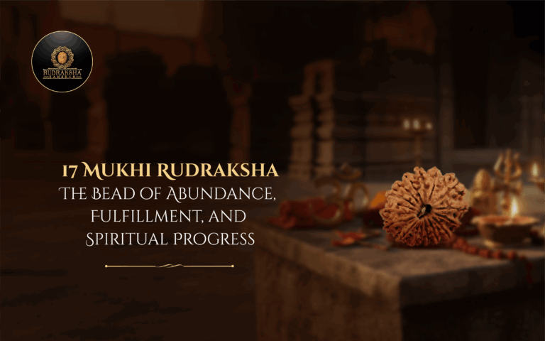 17 Mukhi Rudraksha: The Bead of Abundance, Fulfillment, and Spiritual Progress 