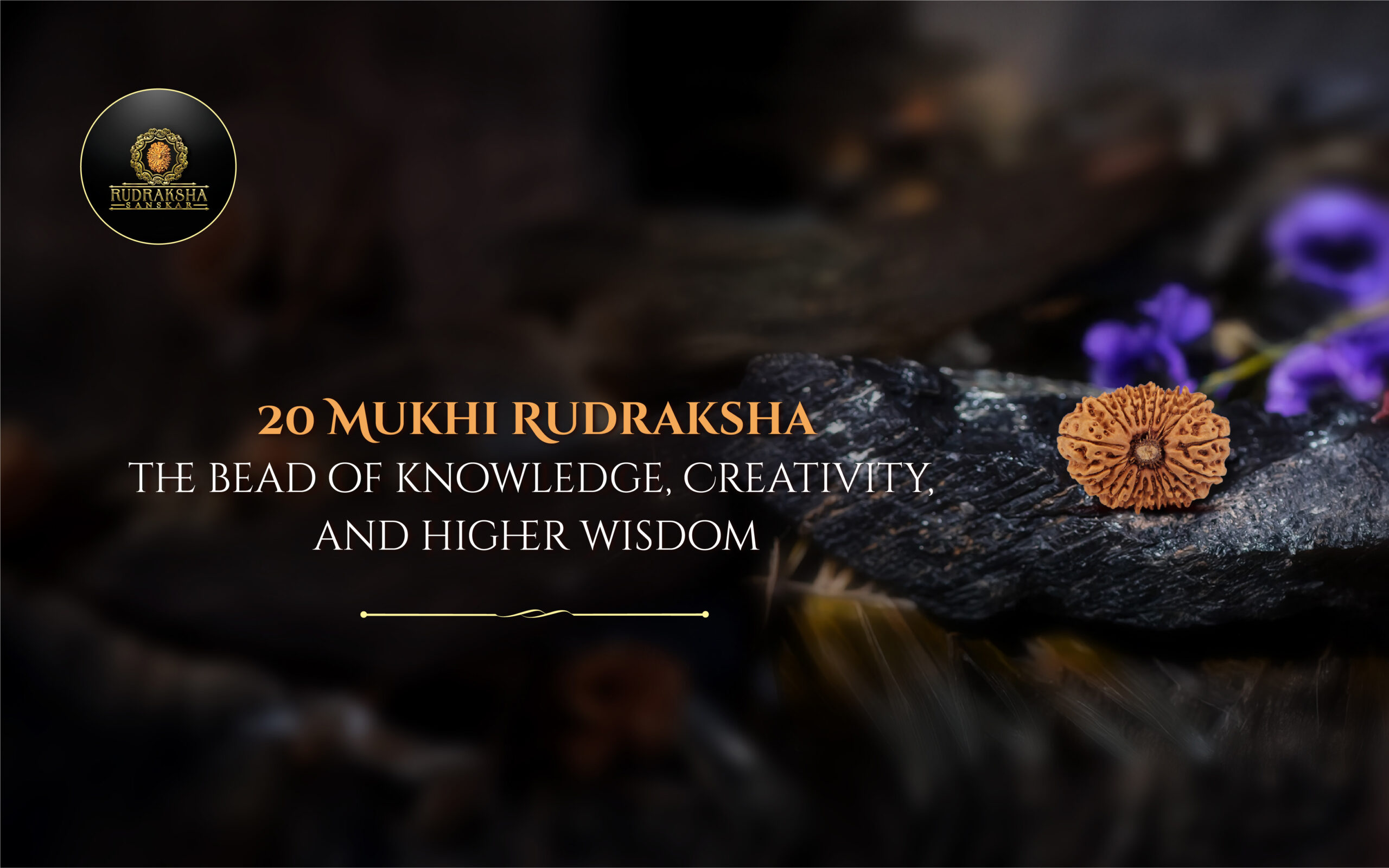 20 Mukhi Rudraksha The Bead of Knowledge, Creativity, and Higher Wisdom