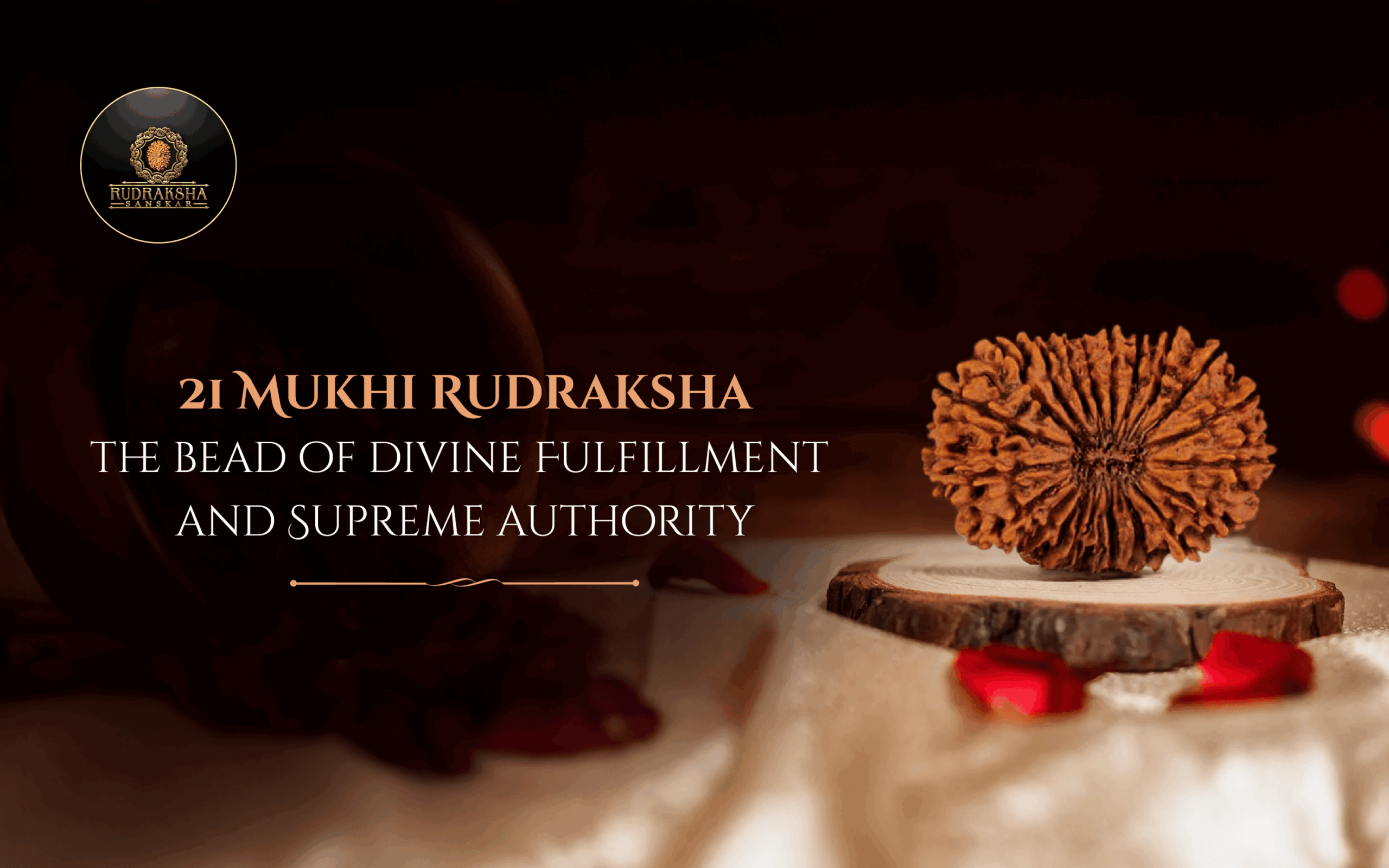 21 Mukhi Rudraksha The Bead of Divine Fulfillment and Supreme Authority - Rudraksha Sanskar