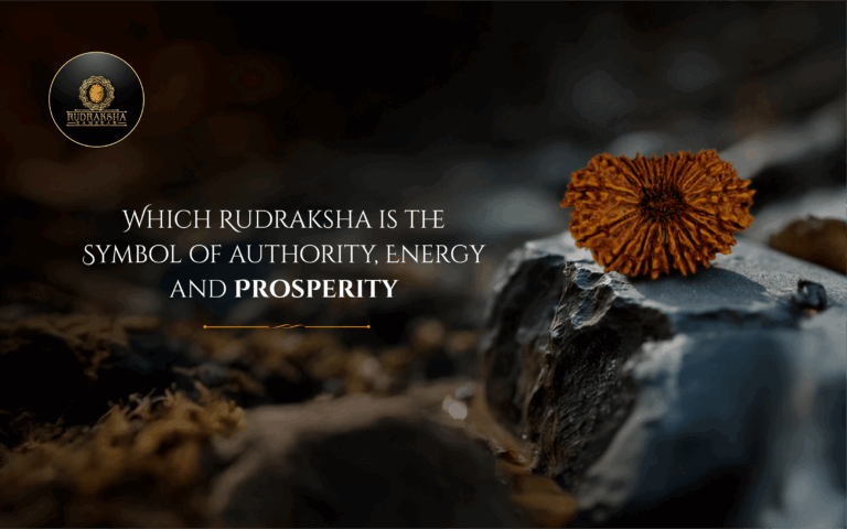 Which Rudraksha is the Symbol of Authority, Energy and Prosperity 