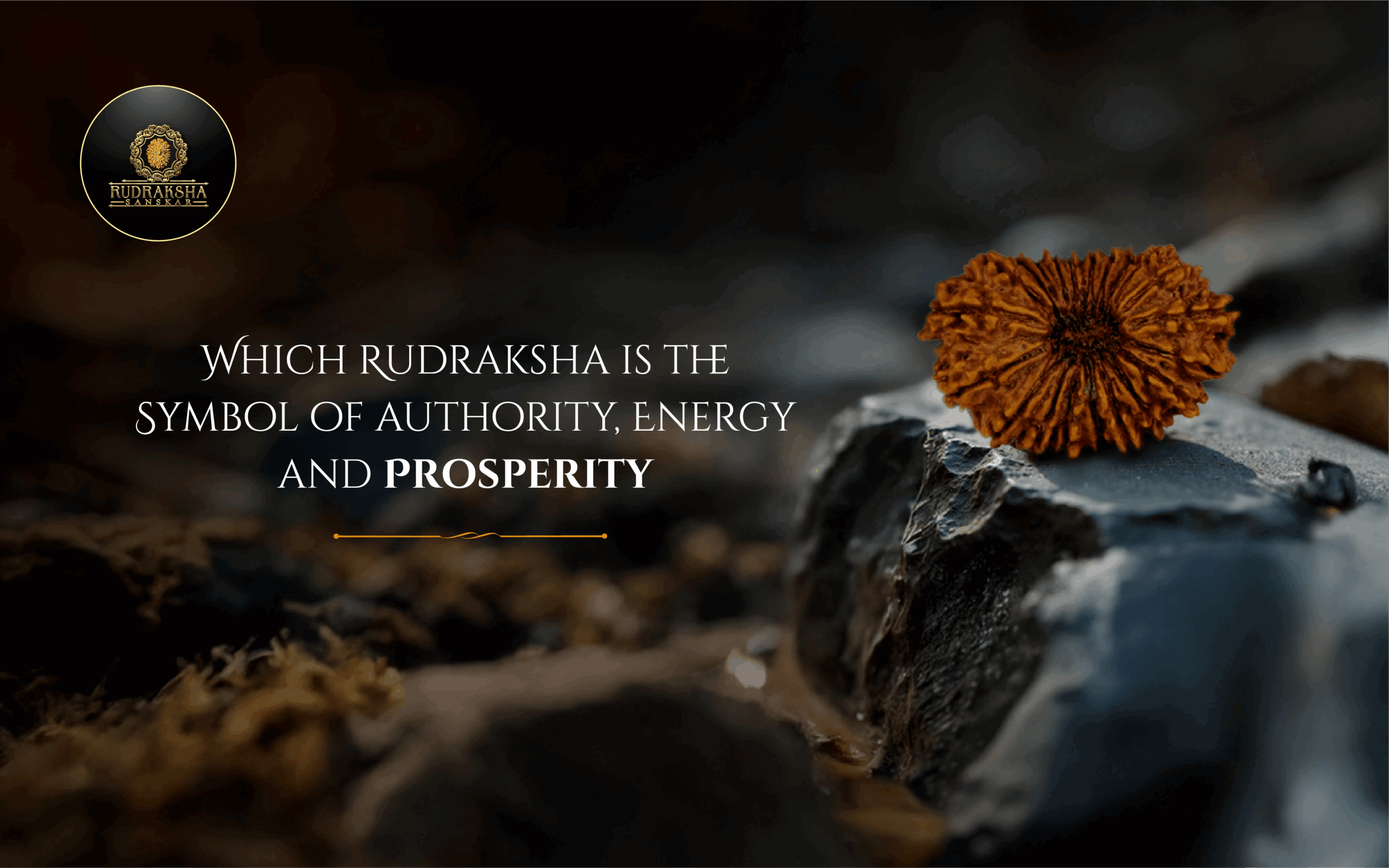Which Rudraksha is the Symbol of Authority, Energy and Prosperity - Rudraksha Sanskar