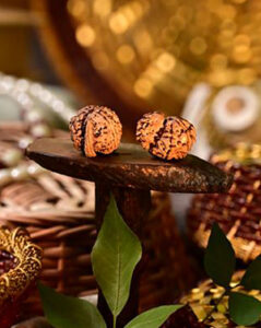 Certified Rudraksha bead
