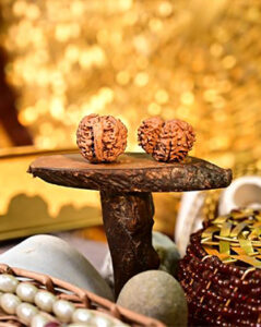 Authentic Rudraksha bead