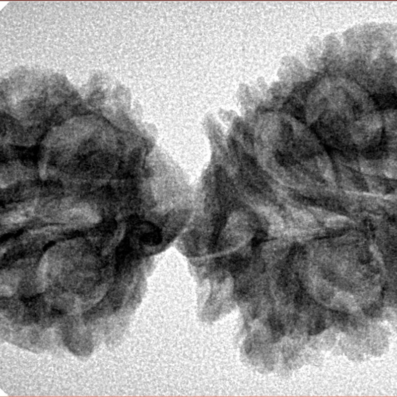 16 Mukhi Gaurishankar 37.8mm 5.25gm - Inverse xray