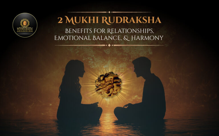2 Mukhi Rudraksha Benefits for Relationships, Emotional Balance, and Harmony 