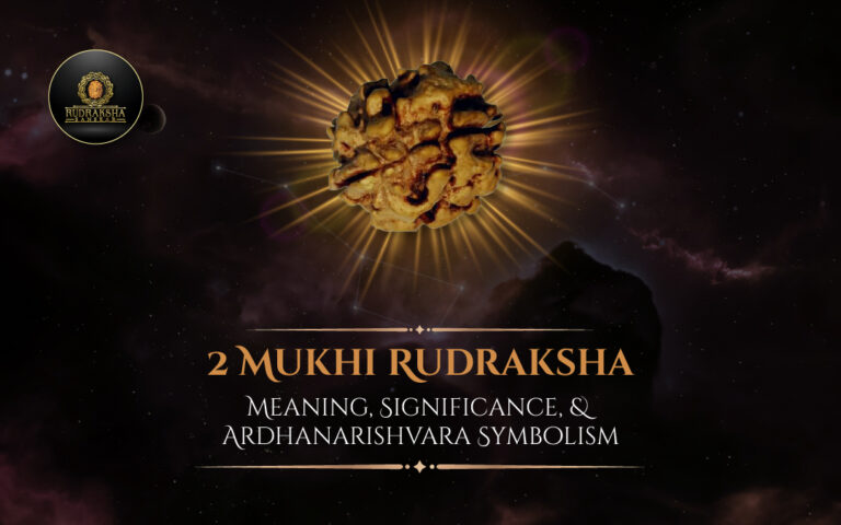 2 Mukhi Rudraksha: Meaning, Significance, and Ardhanarishvara Symbolism 