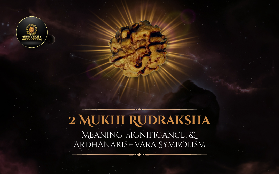 2 Mukhi Rudraksha Meaning, Significance, and Ardhanarishvara Symbolism - Rudraksha Sanskar
