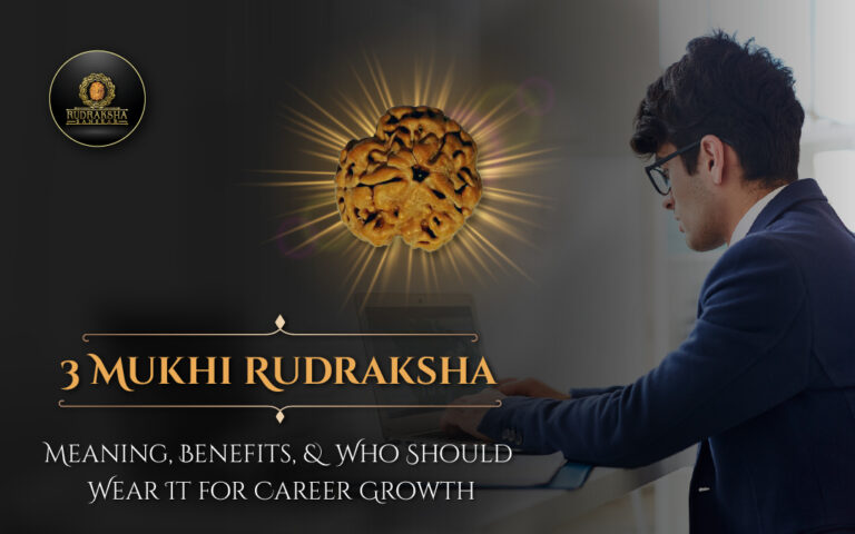 3 Mukhi Rudraksha: Meaning, Benefits, and Who Should Wear It for Career Growth 