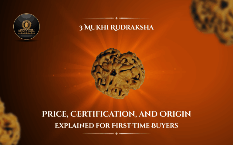 3 Mukhi Rudraksha Price, Certification, and Origin Explained for First-Time Buyers 