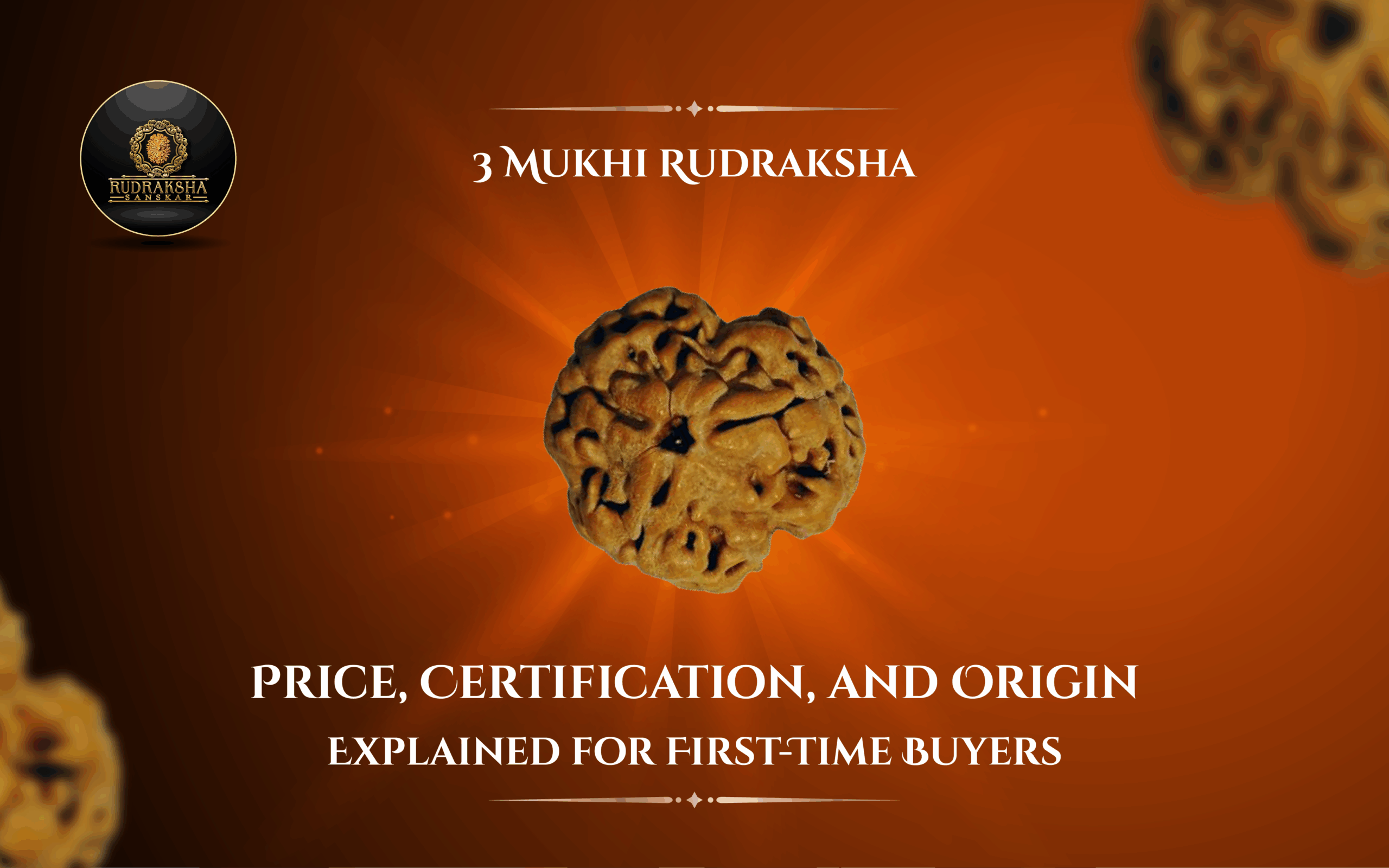 3 Mukhi Rudraksha Price, Certification, and Origin Explained for First-Time Buyers - Rudraksha Sanskar