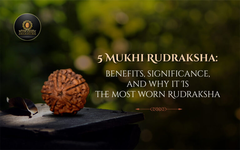 5 Mukhi Rudraksha: Benefits, Significance, and Why It Is the Most Worn Rudraksha 