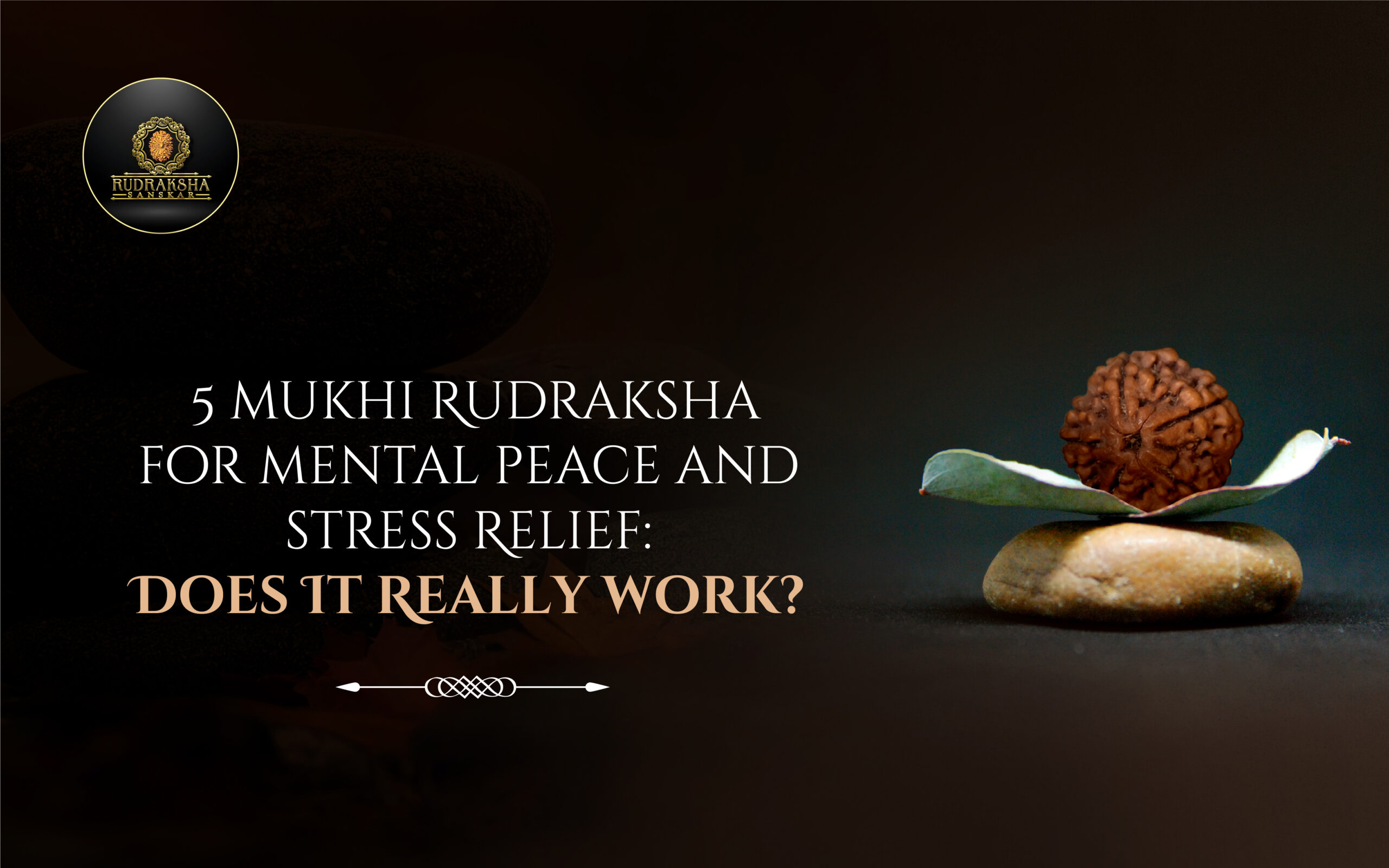 5 Mukhi Rudraksha for Mental Peace and Stress Relief Does It Really Work - Rudraksha Sanskar