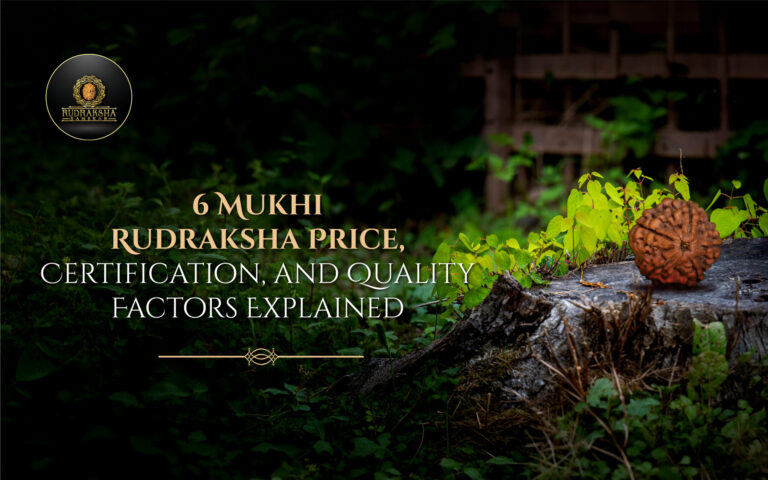 6 Mukhi Rudraksha Price, Certification, and Quality Factors Explained 