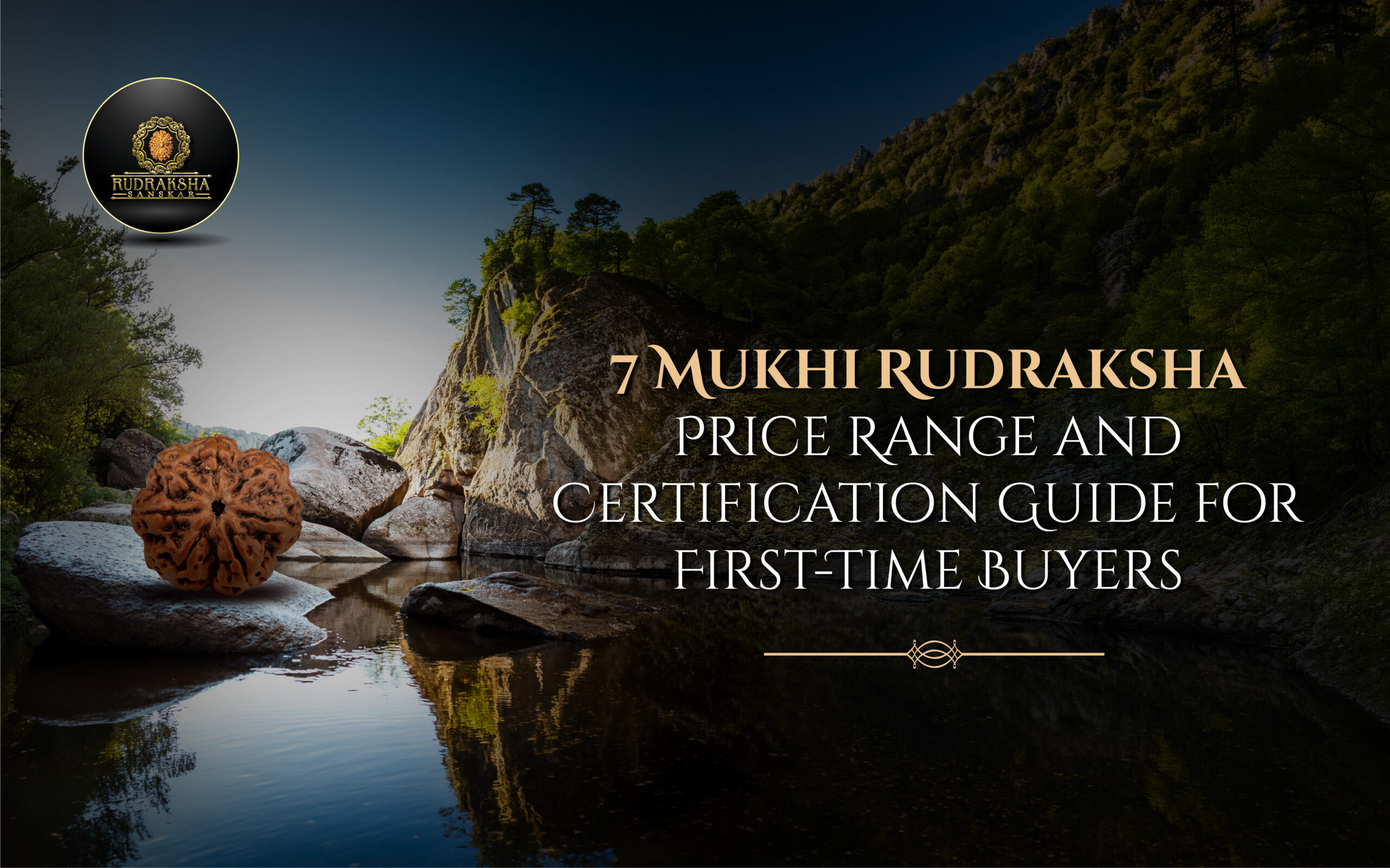 7 Mukhi Rudraksha Price Range and Certification Guide for First-Time Buyers - Rudraksha Sanskar