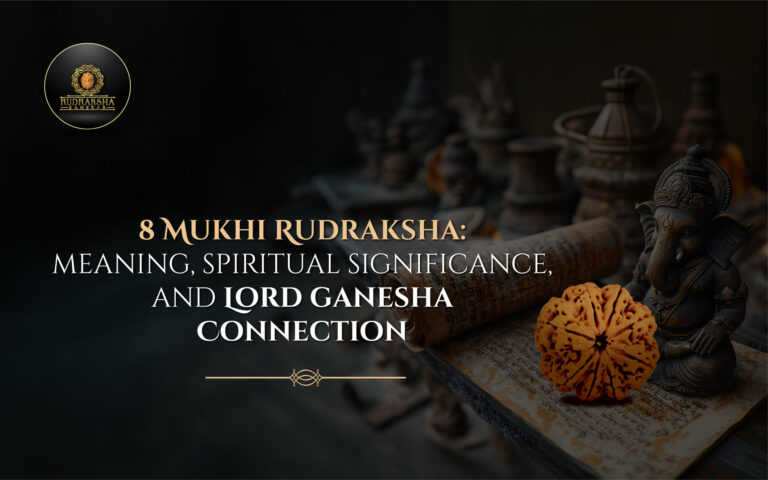 8 Mukhi Rudraksha: Meaning, Spiritual Significance, and Lord Ganesha Connection 