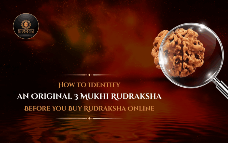 How to Identify an Original 3 Mukhi Rudraksha Before You Buy Rudraksha Online 