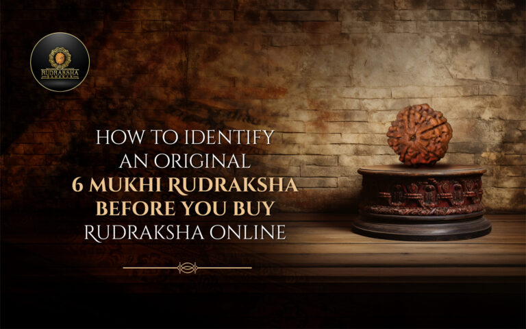 How to Identify an Original 6 Mukhi Rudraksha Before You Buy Rudraksha Online 