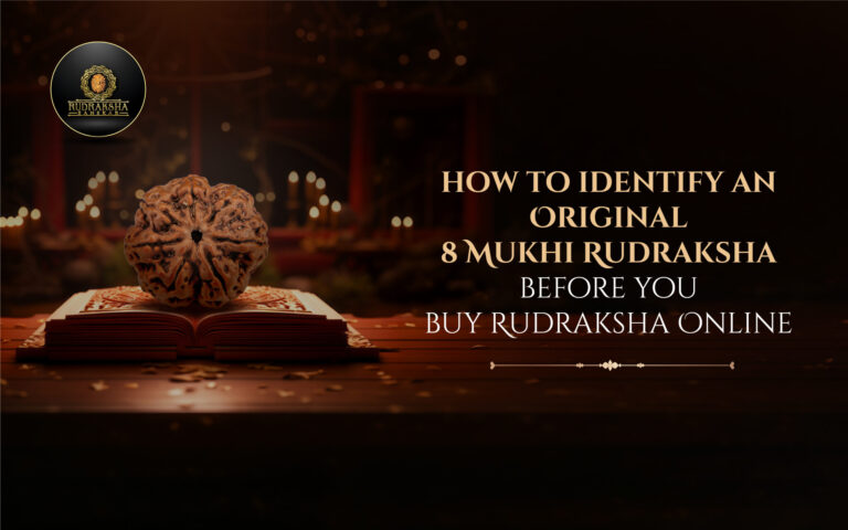 How to Identify an Original 8 Mukhi Rudraksha Before You Buy Rudraksha Online 