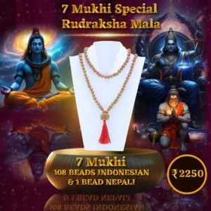 7 Mukhi Special Mala