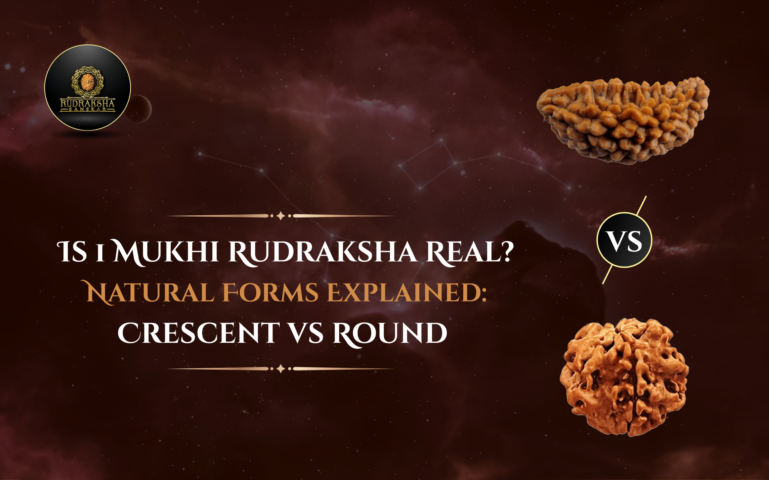 Is 1 Mukhi Rudraksha Real? Natural Forms Explained: Crescent vs Round 