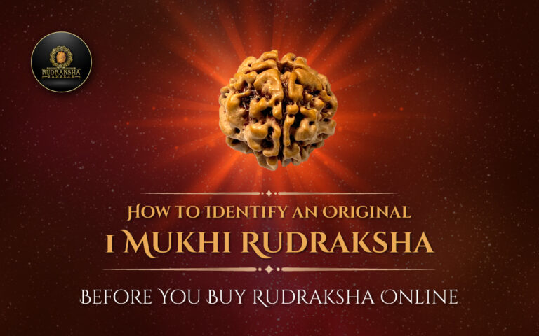 How to Identify an Original 1 Mukhi Rudraksha Before You Buy Rudraksha Online 