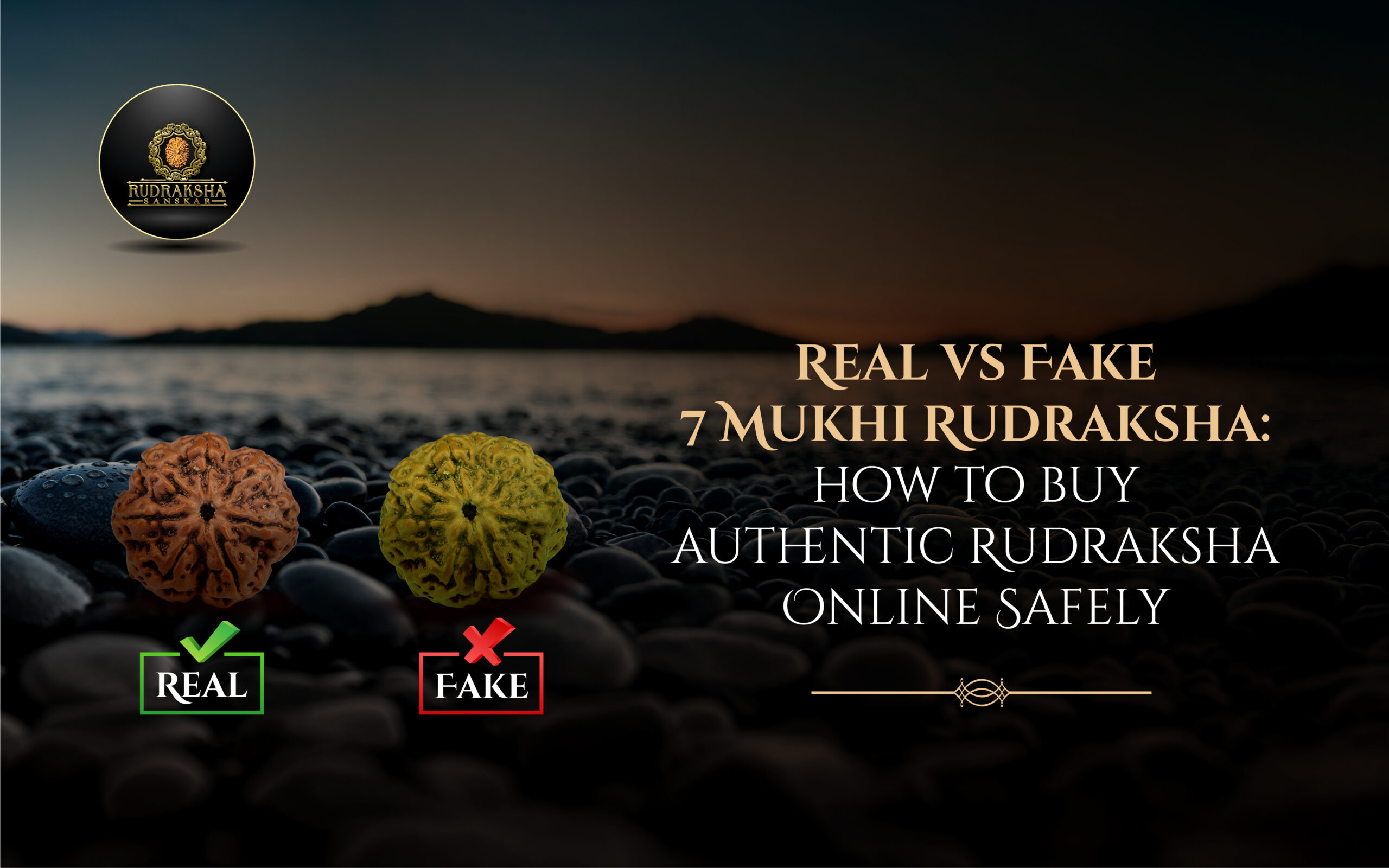 Real vs Fake 7 Mukhi Rudraksha How to Buy Authentic Rudraksha Online Safely - Rudraksha Sanskar