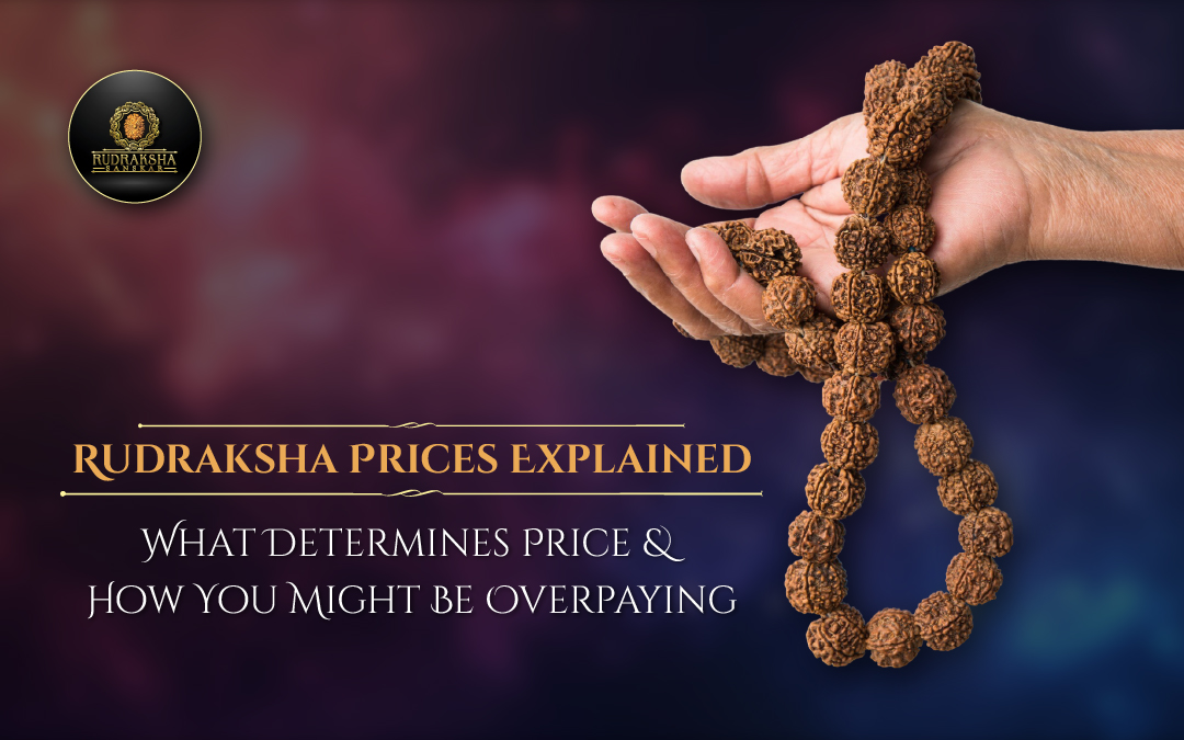 Rudraksha Prices Explained What Determines Price, How You Might Be Overpaying, Current Rates (2026) - Rudraksha Sanskar