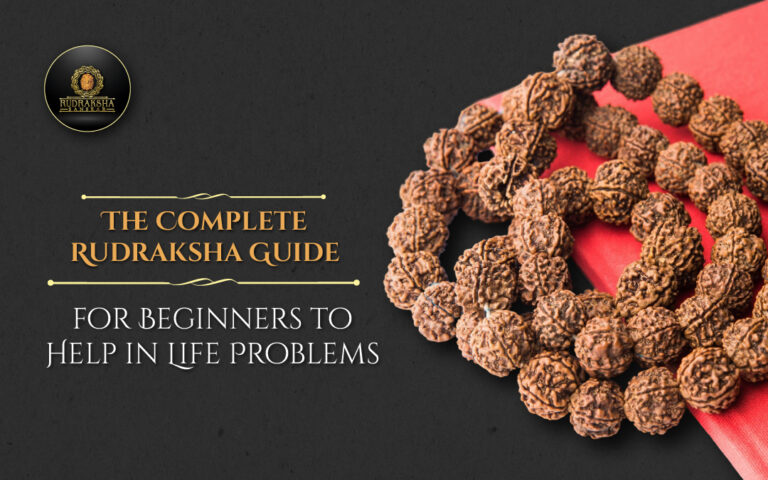 The Complete Rudraksha Guide for Beginners to Help in Life Problems 