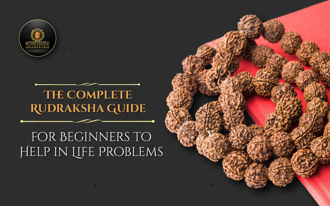 The Complete Rudraksha Guide for Beginners to Help in Life Problems - Rudraksha Sanskar