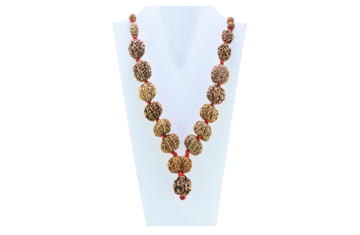 1 to 14 Mukhi Rudraksha Mala ( Siddha Mala ) - Certificate: DCL/2026/B/0013 - Mala Image