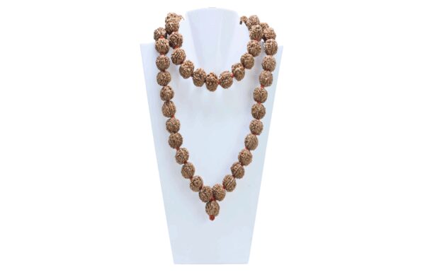 7 Mukhi Nepali Kantha - Certificate: DCL/2026/B/0005 - Mala Image